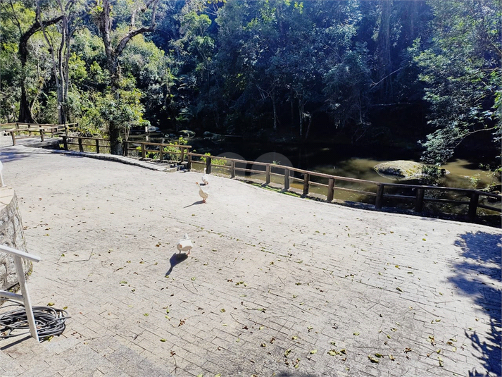 Foto REO855045