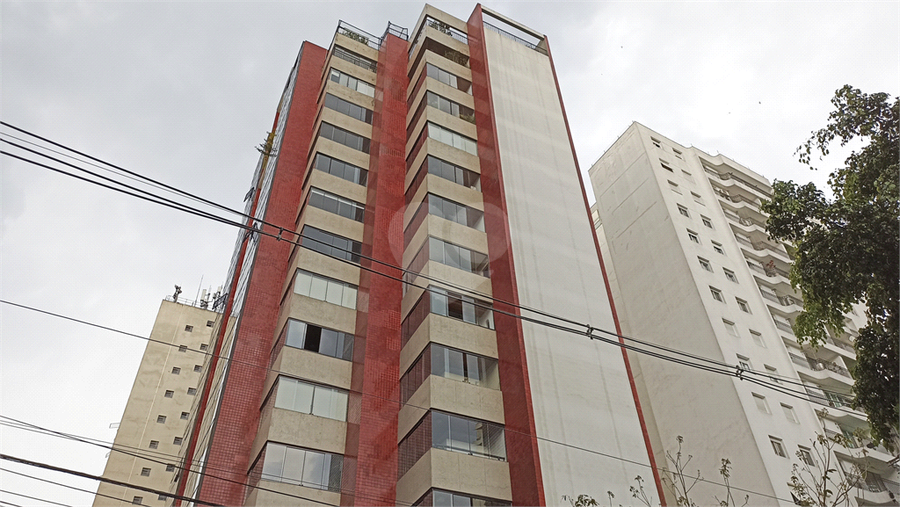 Foto REO855481