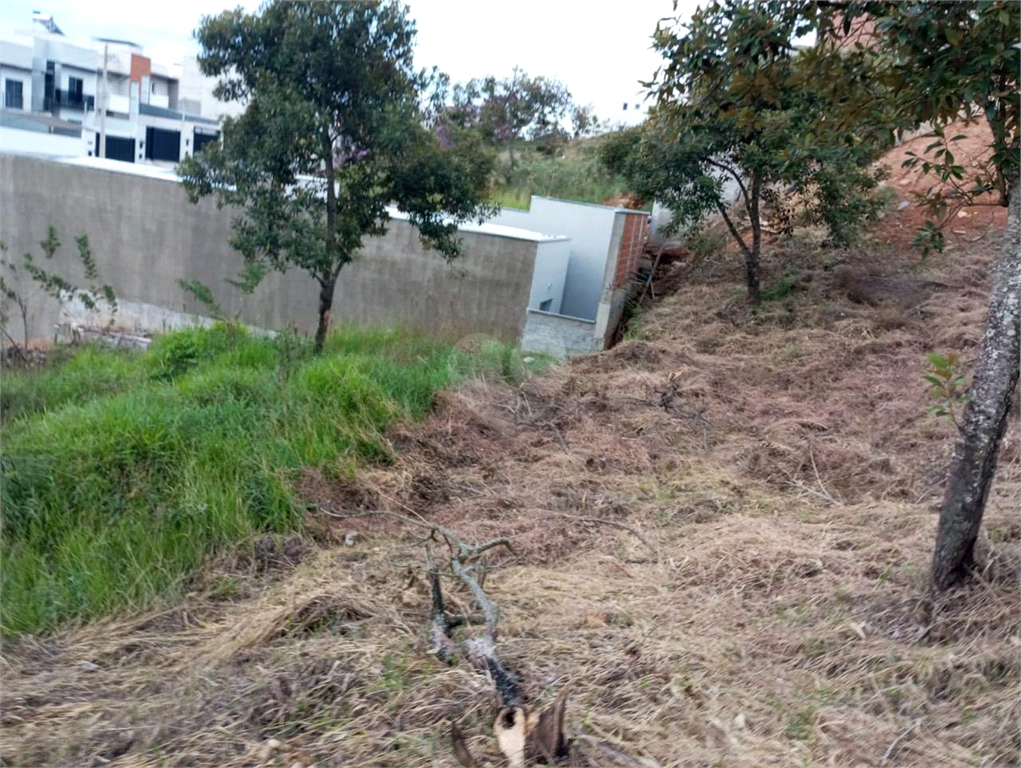 Venda Terreno Poços De Caldas Jardim Bandeirantes REO855802 4