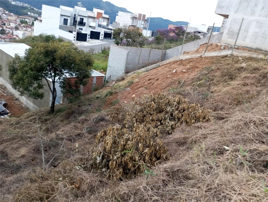 Venda Terreno Poços De Caldas Jardim Bandeirantes REO855802 12