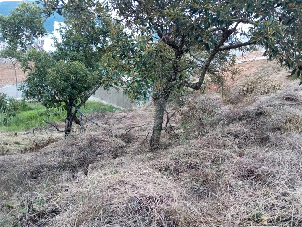 Venda Terreno Poços De Caldas Jardim Bandeirantes REO855802 13