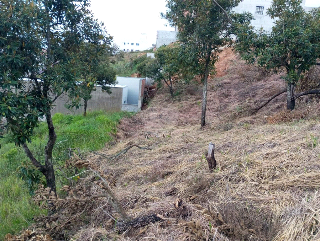 Venda Terreno Poços De Caldas Jardim Bandeirantes REO855802 5