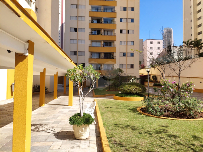 Foto REO856246