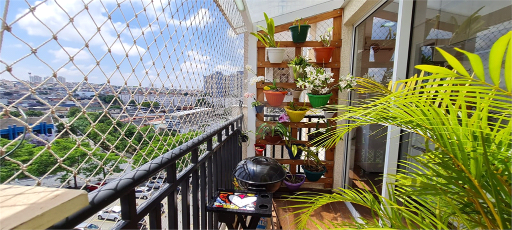 Venda Apartamento São Paulo Sítio Da Figueira REO856656 23