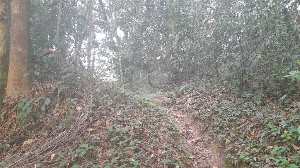 Venda Terreno Mairiporã Caraguatá REO859261 13