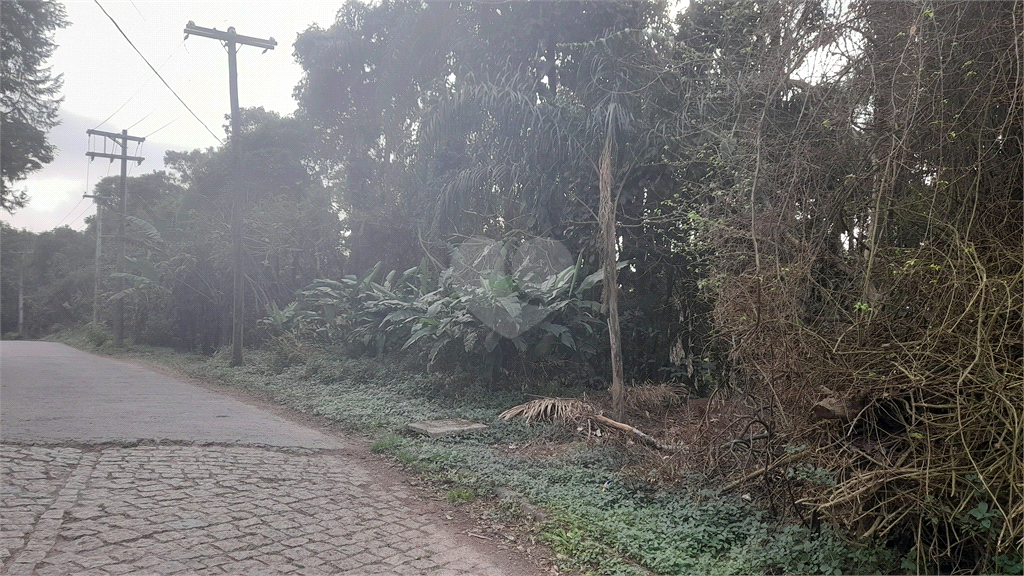 Venda Terreno Mairiporã Caraguatá REO859261 5