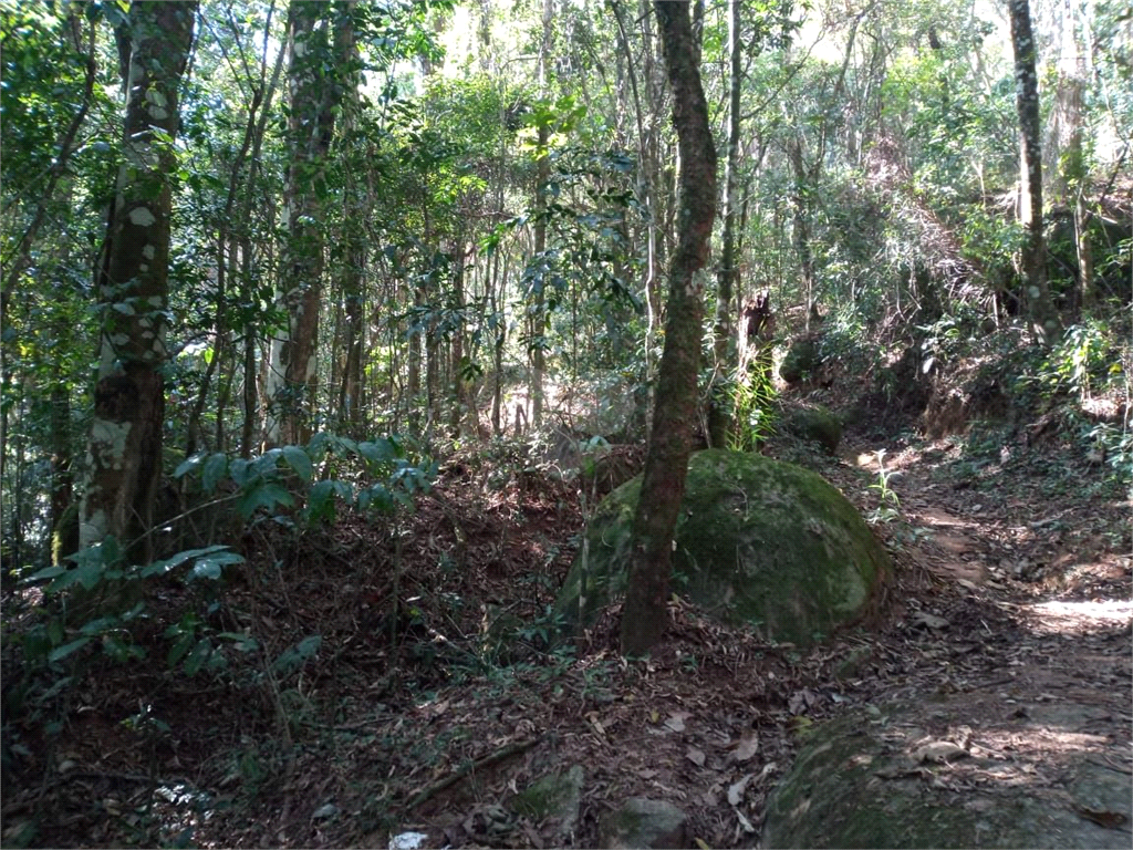 Venda Terreno Mairiporã Caraguatá REO859261 4