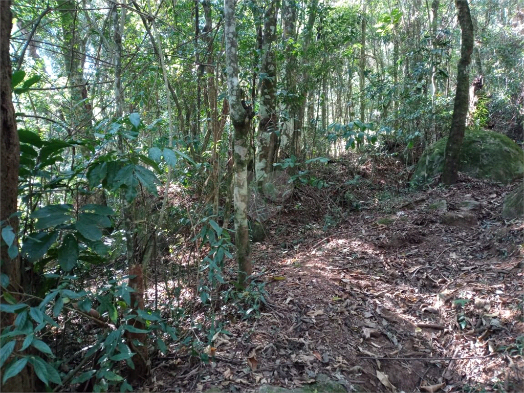 Venda Terreno Mairiporã Caraguatá REO859261 2