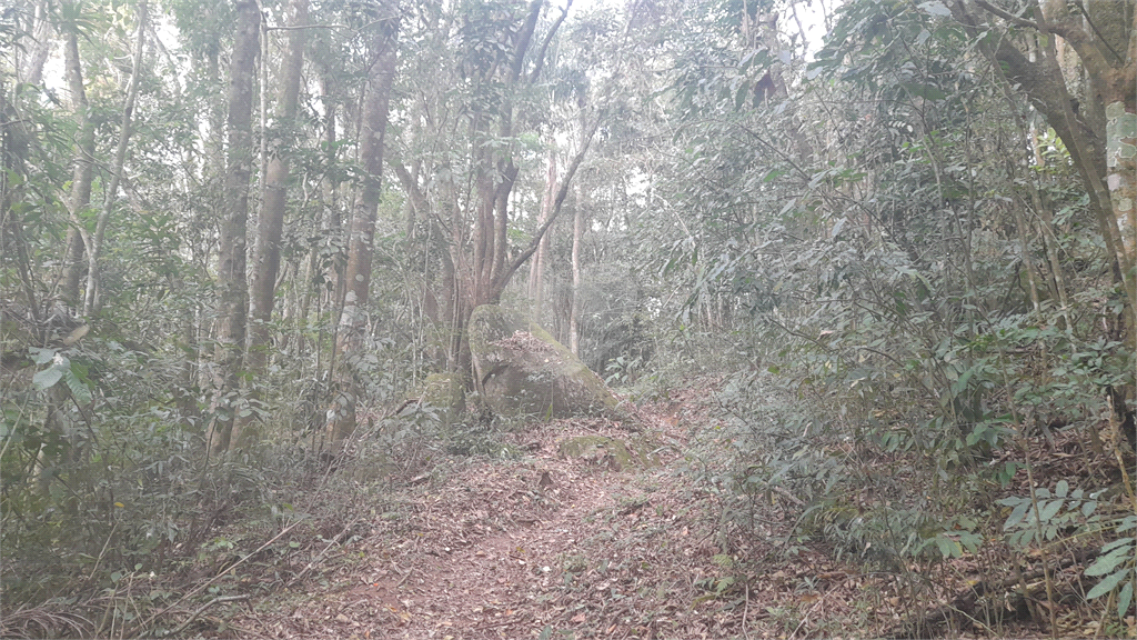 Venda Terreno Mairiporã Caraguatá REO859261 16