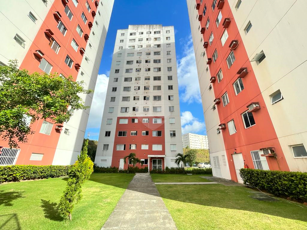 Venda Apartamento Salvador Piatã REO859307 16