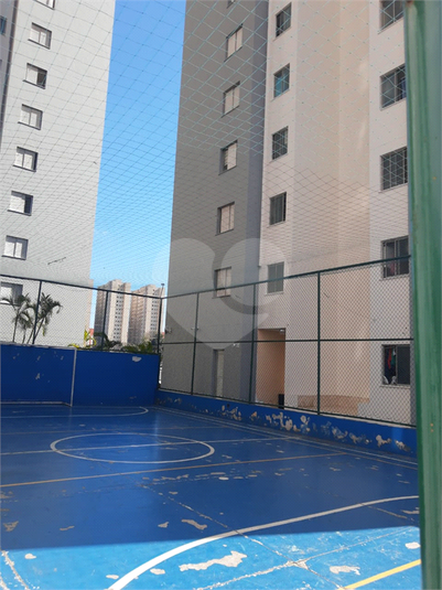 Foto REO859747