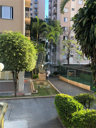Foto REO859775