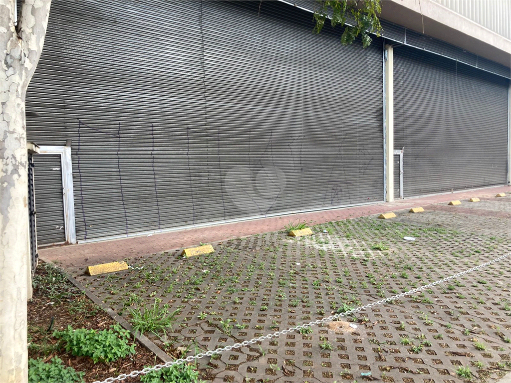 Aluguel Salão Comercial São Paulo Vila Albertina REO860081 12