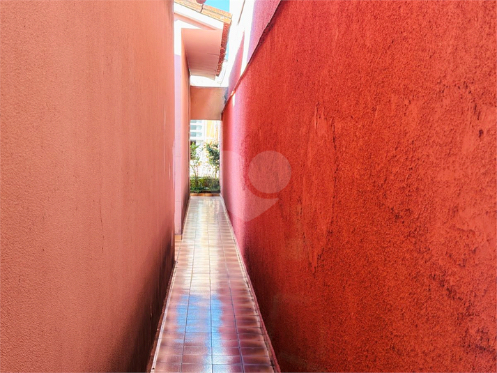 Foto REO8604