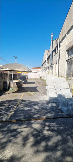Foto REO860718