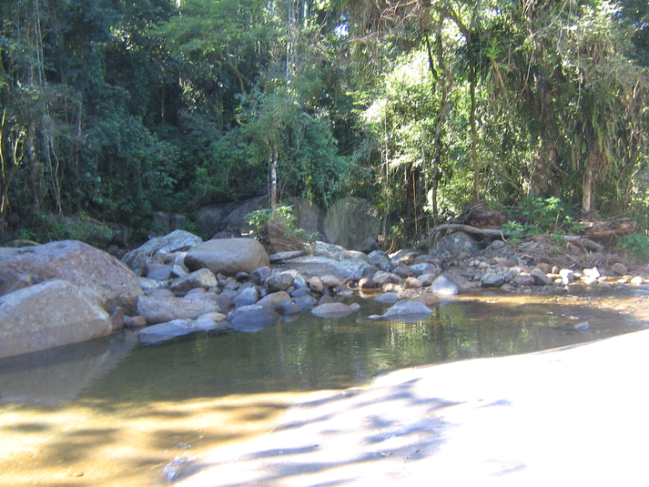 Venda Sítio Parati Centro REO861083 10