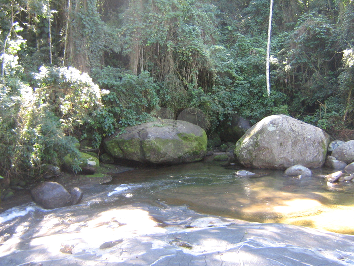 Venda Sítio Parati Centro REO861083 8