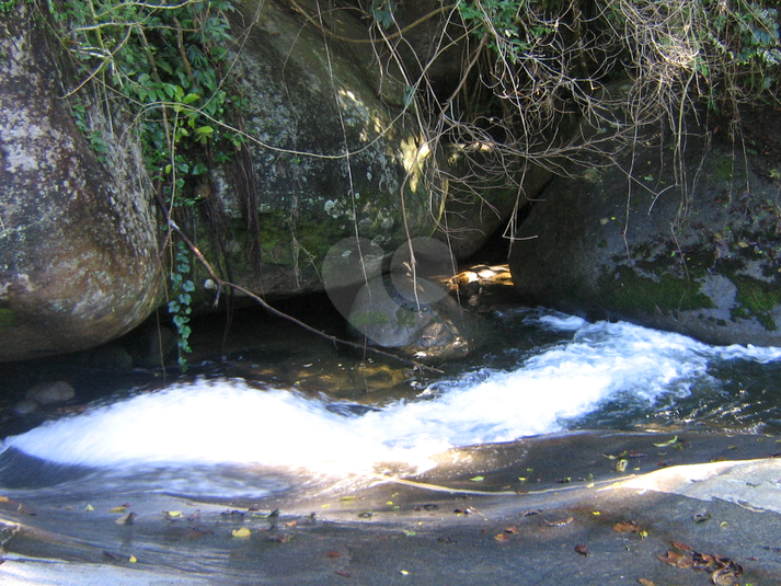 Venda Sítio Parati Centro REO861083 9