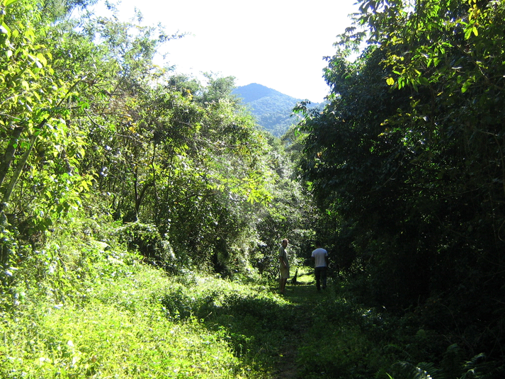 Venda Sítio Parati Centro REO861083 5