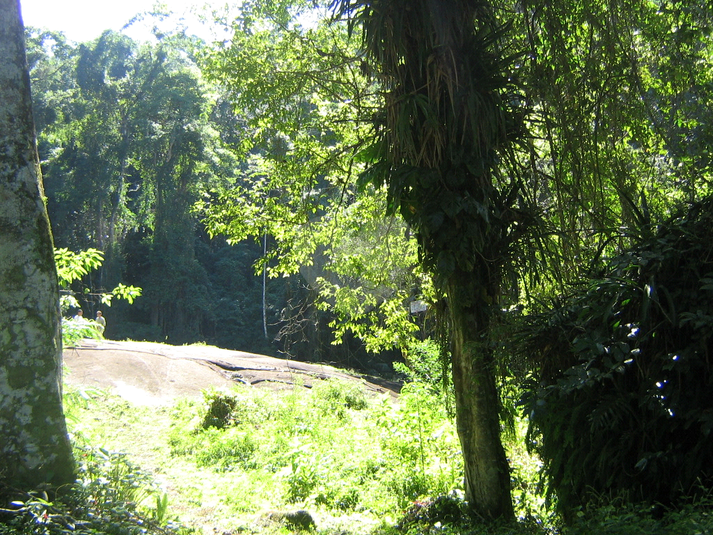 Venda Sítio Parati Centro REO861083 12