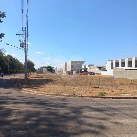 Foto REO861146