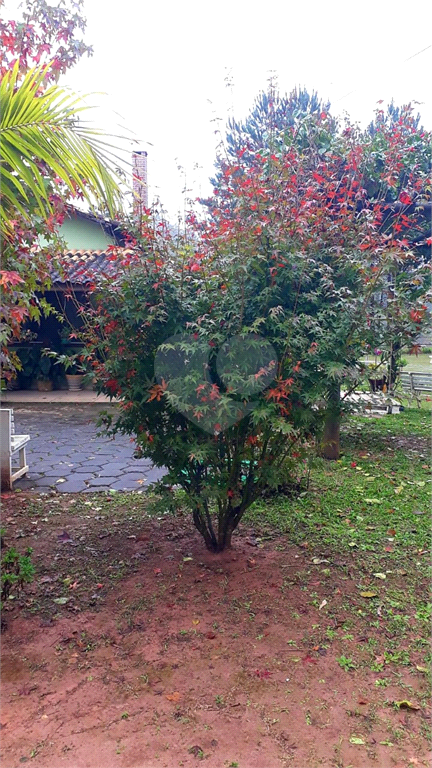 Venda Casa Juquitiba Zona Rural REO861529 23