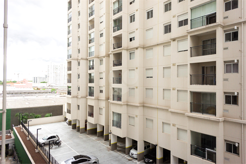 Venda Apartamento São Paulo Brás REO862072 8