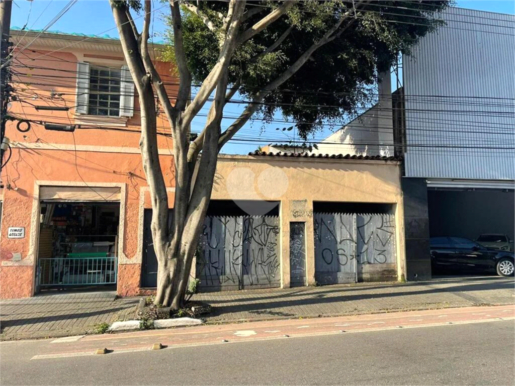 Venda Barracão São Paulo Belenzinho REO862185 1