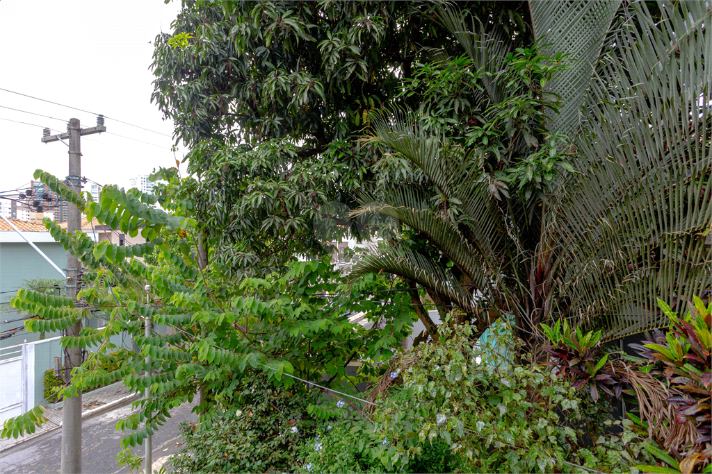 Venda Casa São Paulo Jardim Da Glória REO862378 19