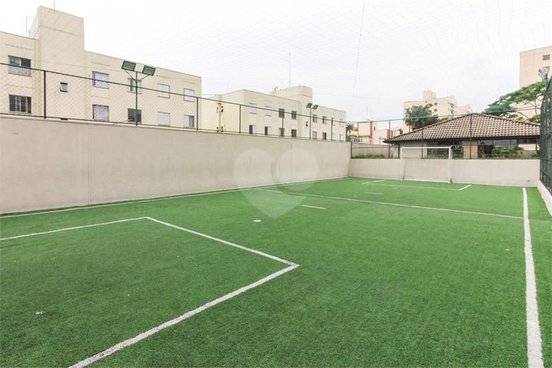 Foto REO862380