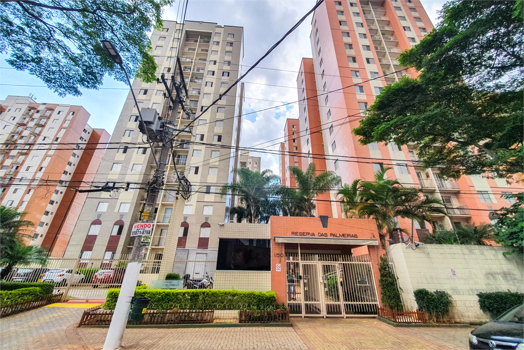 Venda Apartamento São Paulo Cambuci REO862634 59