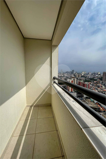Foto REO862666