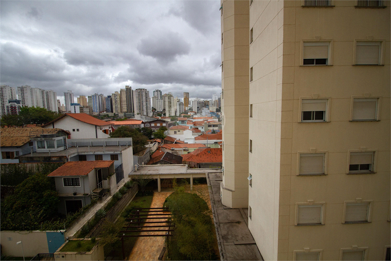 Foto REO862692