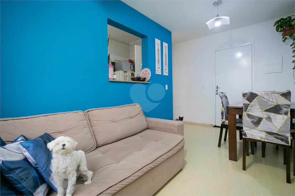 Venda Apartamento São Paulo Vila Basileia REO862742 3