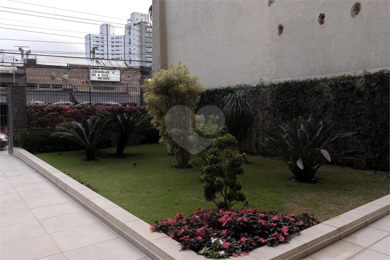 Foto REO862783