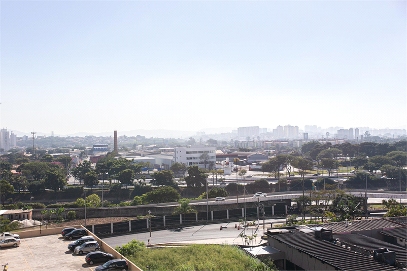 Foto REO863128
