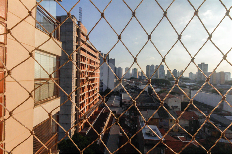 Foto REO863157