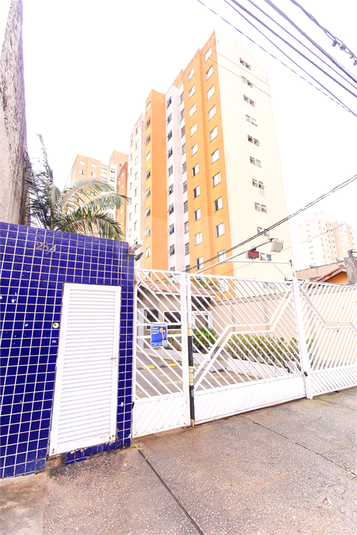 Foto REO863354