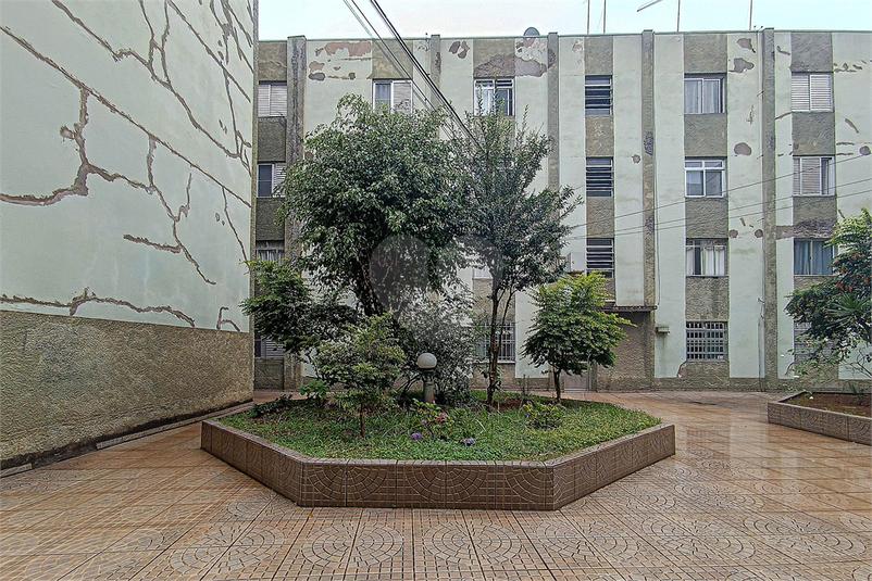 Foto REO863388