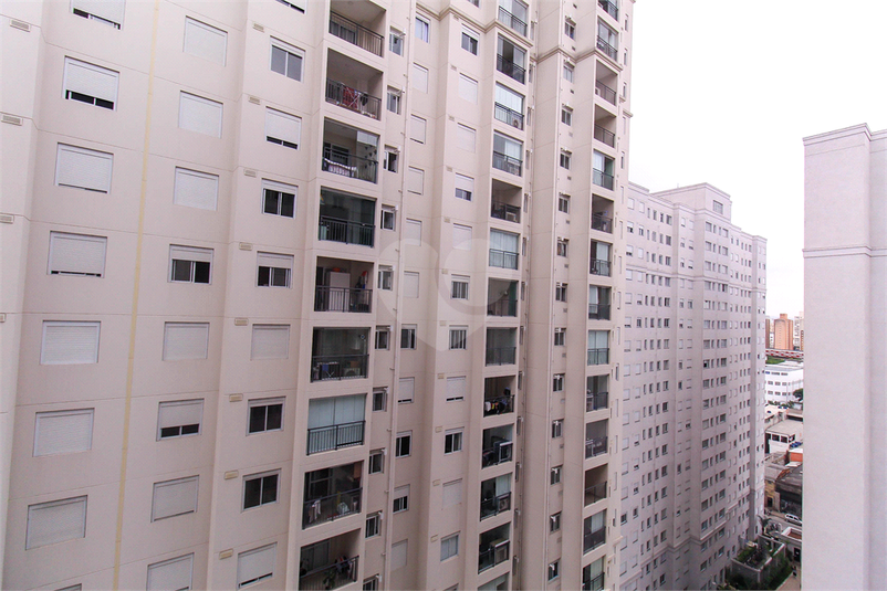 Venda Apartamento São Paulo Brás REO863443 7