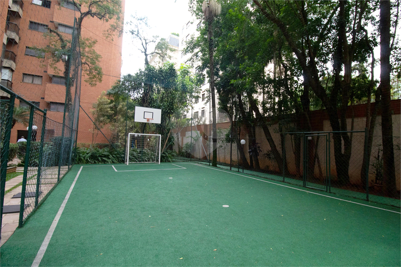 Foto REO863482