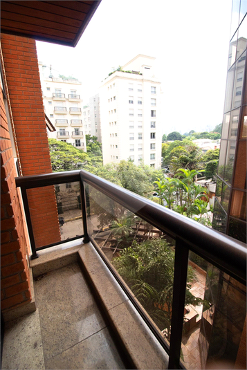 Foto REO863482