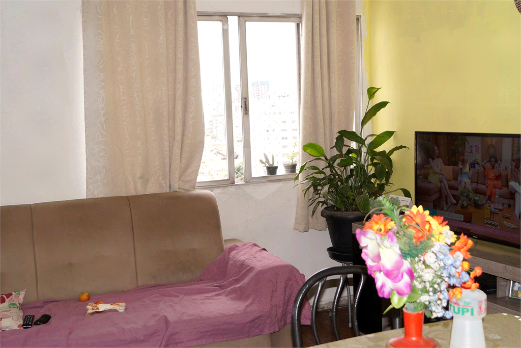 Venda Apartamento São Paulo Cambuci REO863727 1