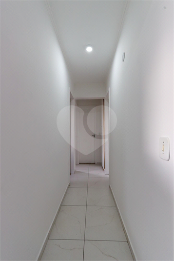 Foto REO863801