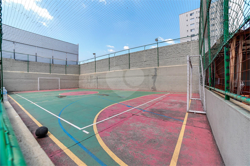 Foto REO863801