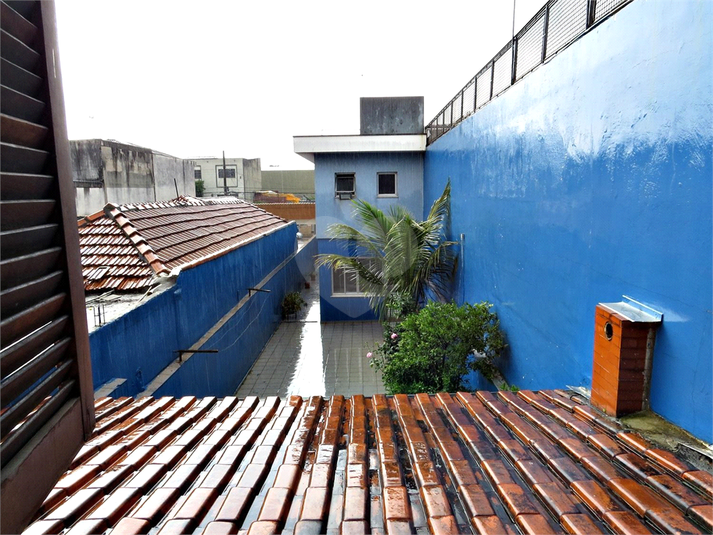 Foto REO863967