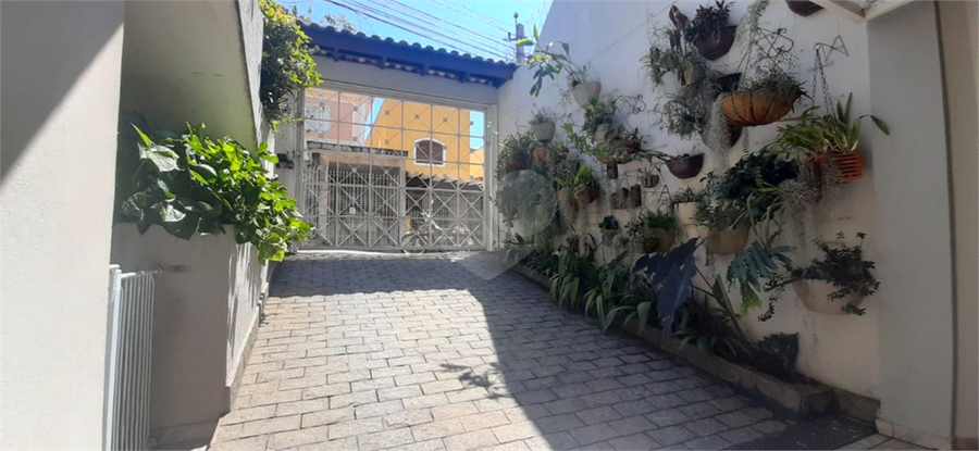 Foto REO863969