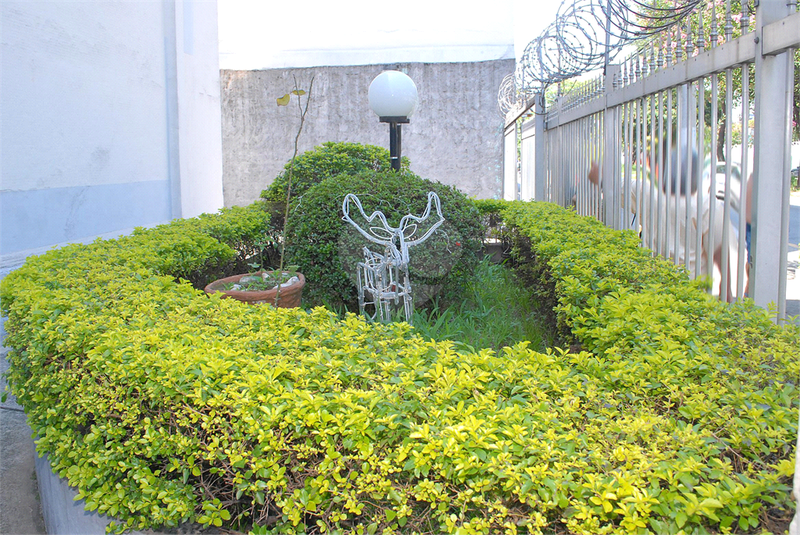 Foto REO864134