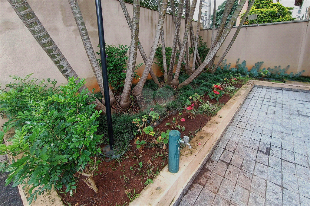 Venda Apartamento São Paulo Vila Mariana REO864211 54