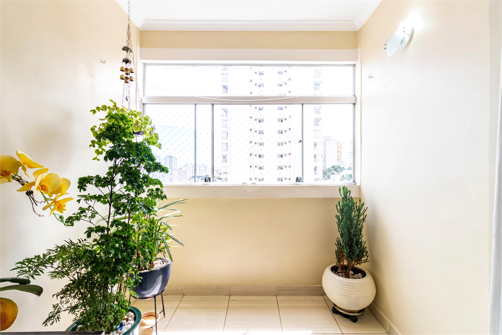 Venda Apartamento São Paulo Cambuci REO864215 5